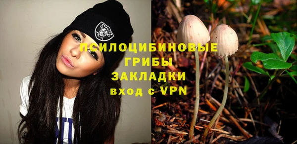 мяу мяу мука Карпинск
