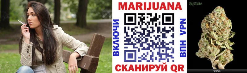Купить где  Катайск  Бошки марихуана SATIVA & INDICA 